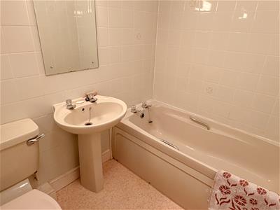Picture 16